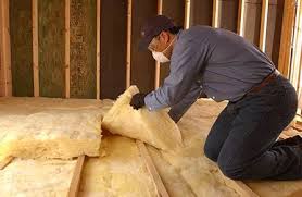 Best Attic Insulation Installation  in Albion, NY